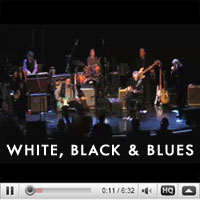 Chicago Blues Reunion White, Black & Blues